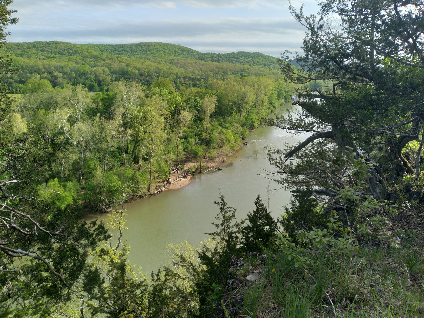 Scenic view from the Owl Bend section of the Current River