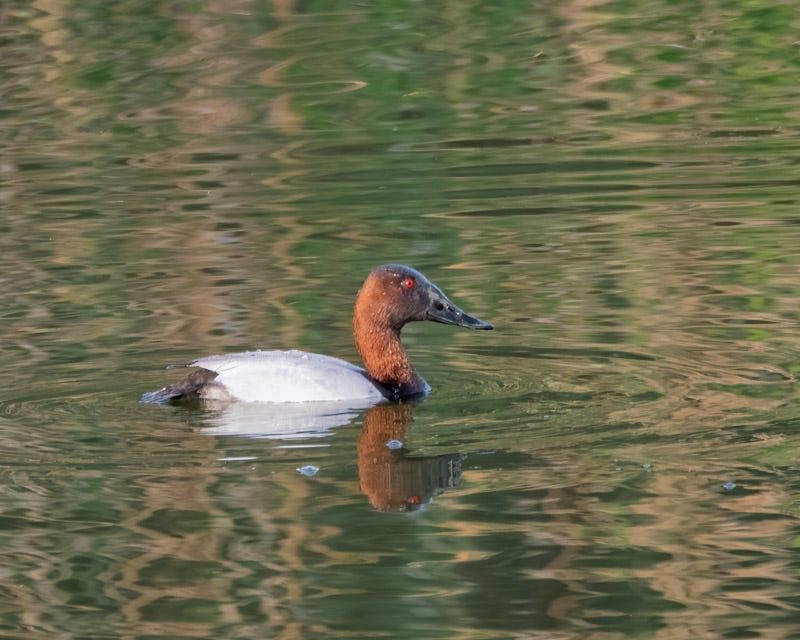 20260316-Sewailo-24-Edit.jpg 20260316-Sewailo-24-Edit.jpg