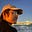 Nigel Xie's avatar