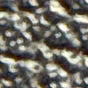 Lsund's avatar