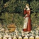 The Gardener's Tale
