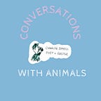 Conversations With Animals