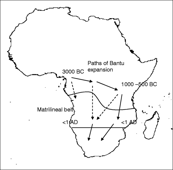 Fig. 3 Fig. 3