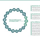 BioNTech/Pfizer waren selbst zum linearisieren des Plasmids zu doof