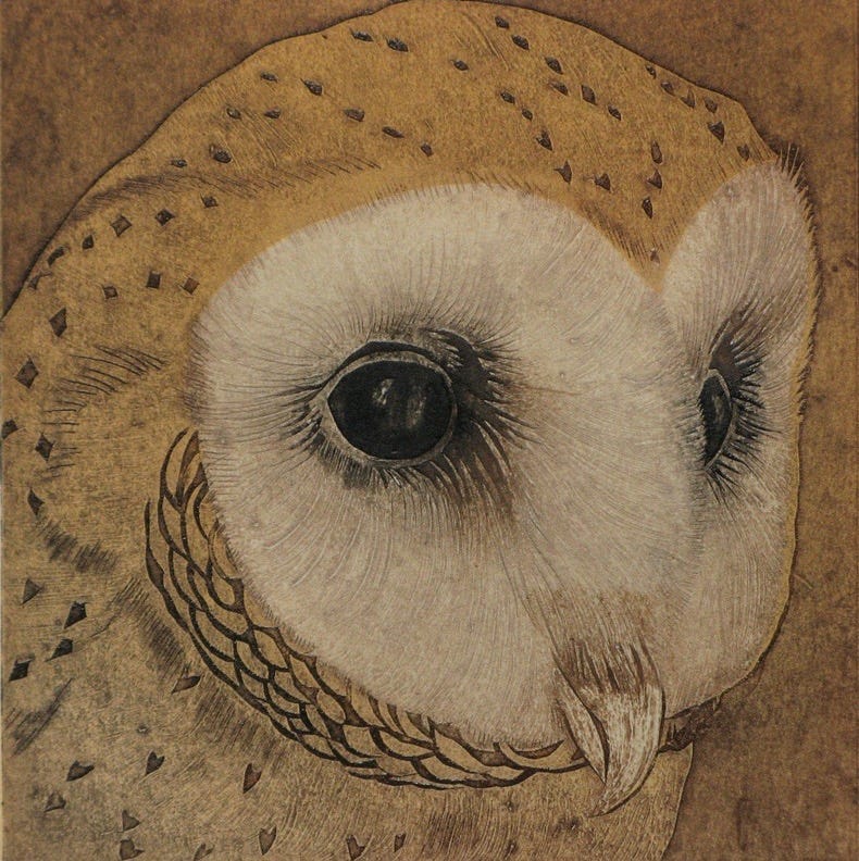 Artwork for the promise of resolution