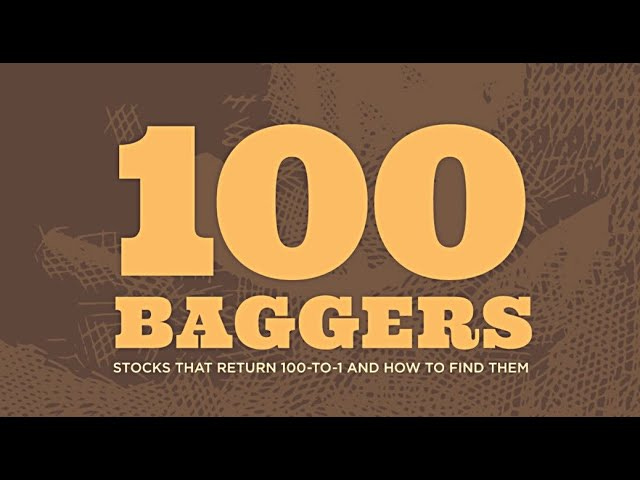 100 Baggers: Stocks That Return 100 To 1 And How To Find Them by Chris  Mayer Audiobook: Part 1! - YouTube