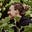 Abigail Coomber's avatar