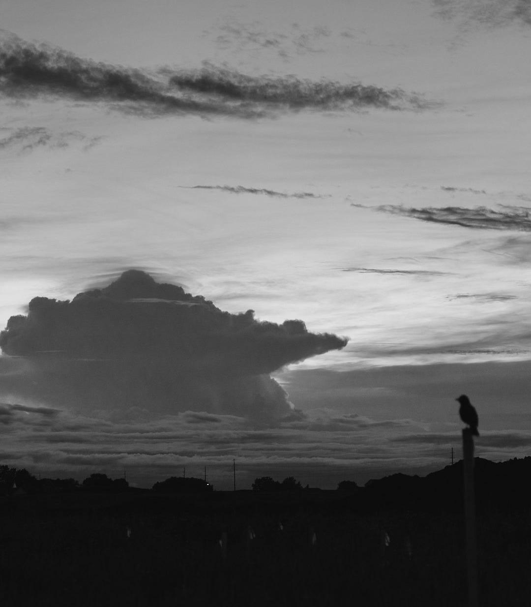 silhouette of person standing on rock formation under cloudy sky during daytime