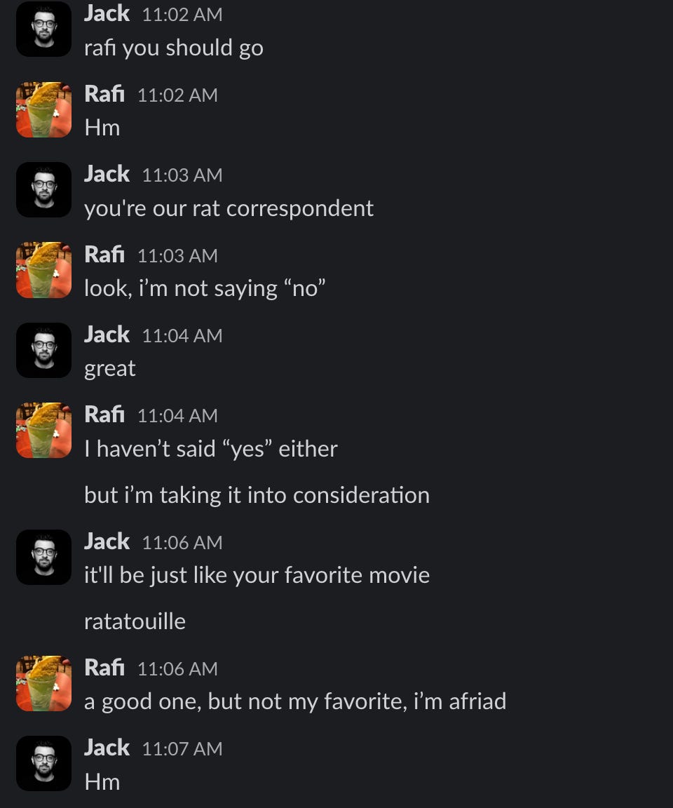 Jack 11:02 AM rafi you should go Rafi 11:02 AM Hm Jack 11:03 AM you're our rat correspondent Rafi 11:03 AM look, i'm not saying "no" Jack 11:04 AM great Rafi 11:04 AM I haven't said "yes" either but i'm taking it into consideration Jack 11:06 AM it'll be just like your favorite movie ratatouille Rafi 11:06 AM a good one, but not my favorite, i'm afriad Jack 11:07 AM Hm