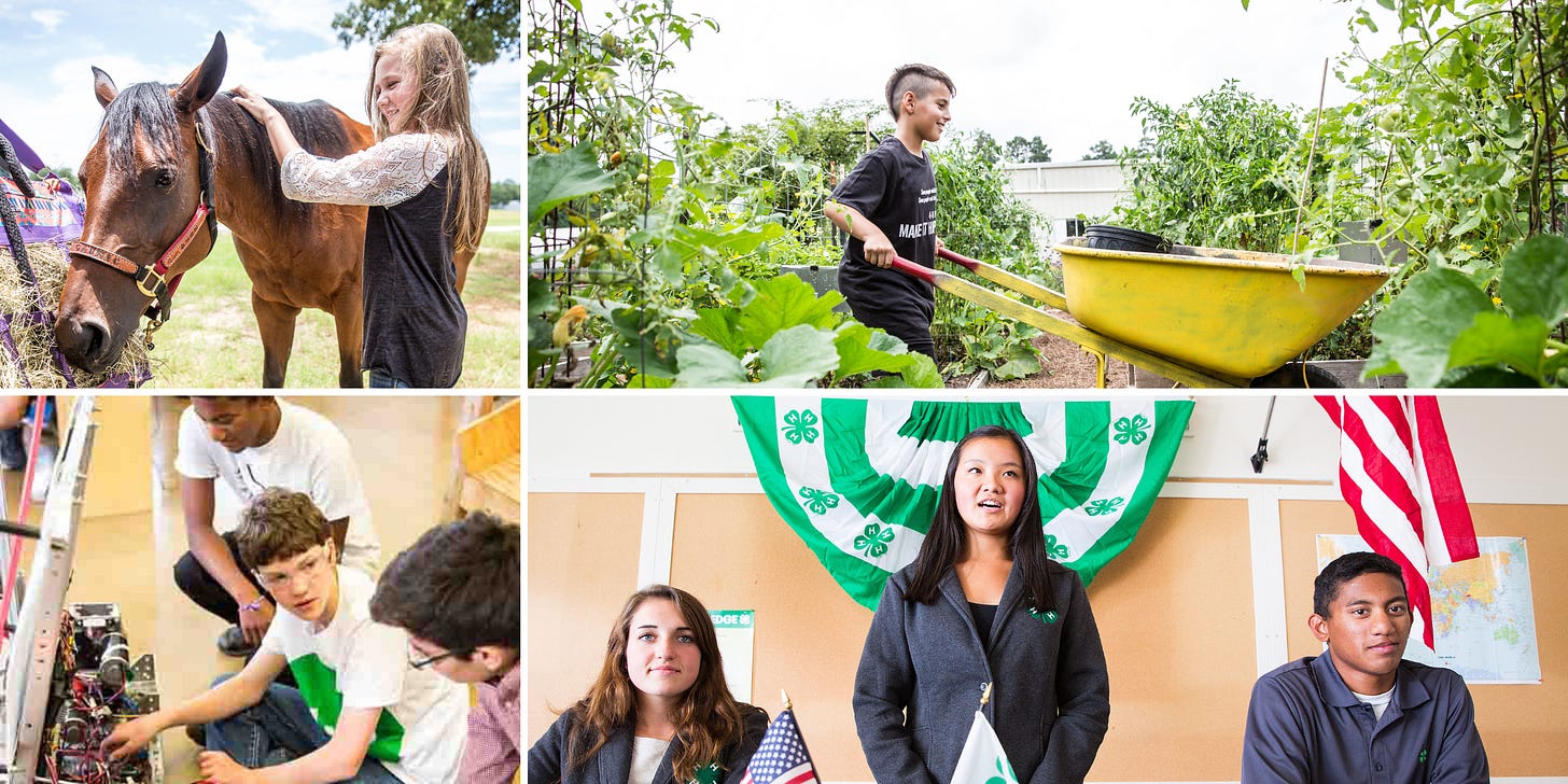 A collage of photos that showcase 4 H clubs and activites