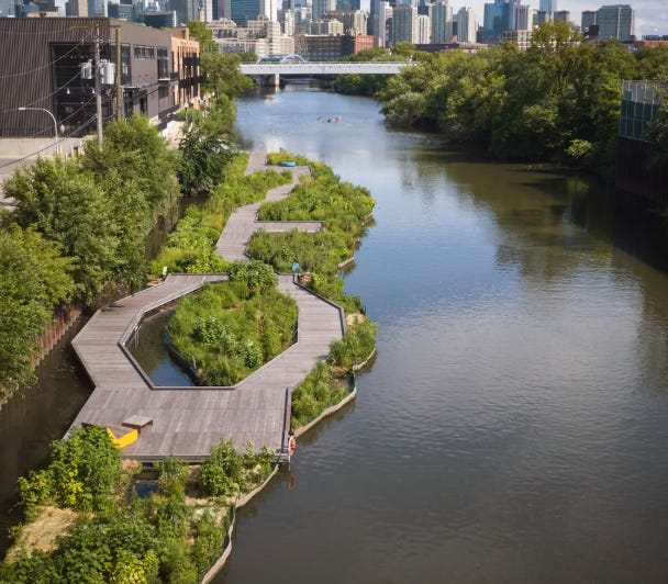 Dépollution innovante : quand la nature filtre mieux que la technologie