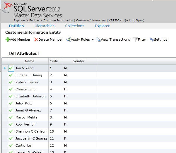 MDS web application explorer SQL Server MDS web application explorer SQL Server