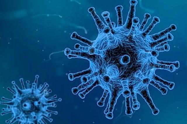 novo-virus-2020 novo-virus-2020