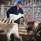 Harvard Business Review Case Study: The North Pole, Inc. (Part 2 of 2)