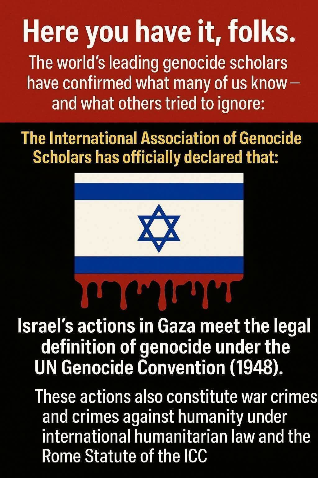 Puede ser una imagen de texto que dice "Here you have it, folks. The world's leading genocide scholars have confirmed what many of us know- and what others tried to ignore: The International Association of Genocide Scholars has officially declared that: Israel's actions in Gaza meet the legal definition of genocide under the UN Genocide Convention (1948). These actions also constitute war crimes and crimes against humanity under international humanitarian law and the Rome Statute of the ICC"