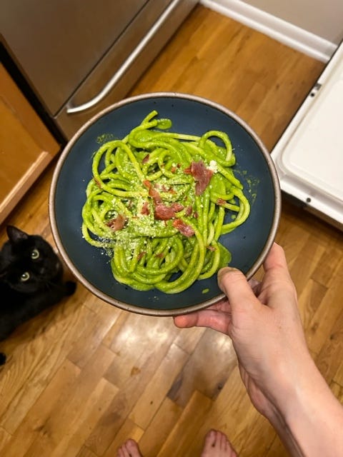 pasta and cat