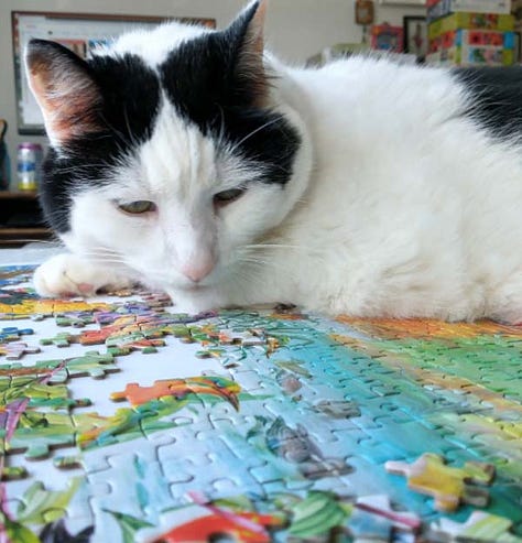 RoseArt Birdsong Jigsaw Puzzle