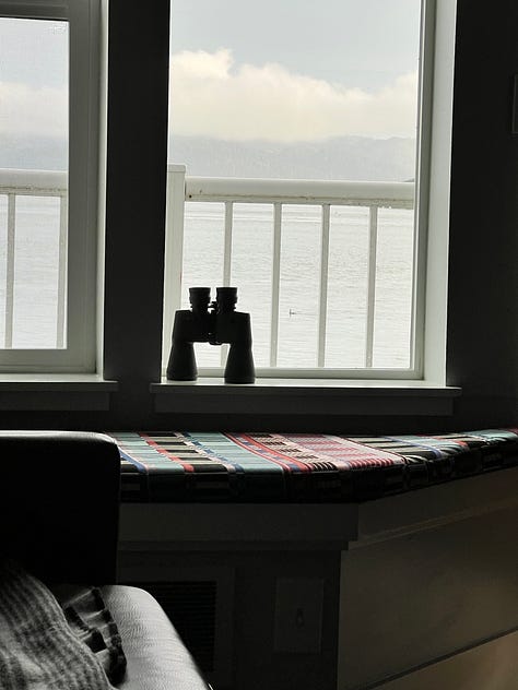 1. Tugboat going under a bridge at sunset. 2. Freighter on the Columbia River. 3. Astoria-Megler Bridger in sunrise. 4. Ships on the Columbia River with pilings. 5. Binoculars. 6. Big ship on the Columbia River. 7. View of the Columbia and Pacific Ocean from the Astoria Column. 8. Photo of Rose smiling from the Astoria Column. 9. View of downtown Astoria and the Columbia River