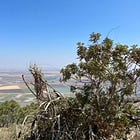 "The Land is Very, Very Good"
