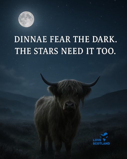 May be an image of text that says "DINNAE FEAR THE DARK. THE STARS NEED T ΤΟ. LOVE SCOTLAND"