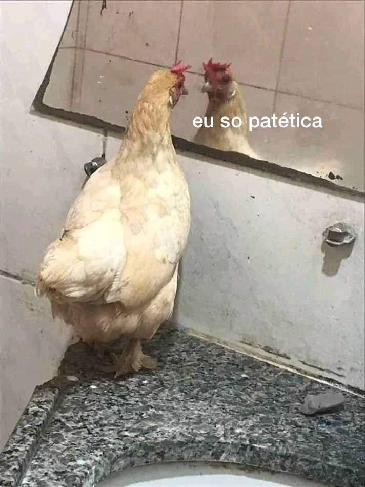 galinha: eu so patetica meme