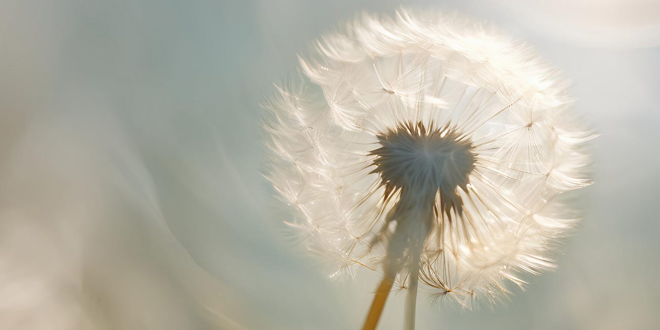 Reaching You
