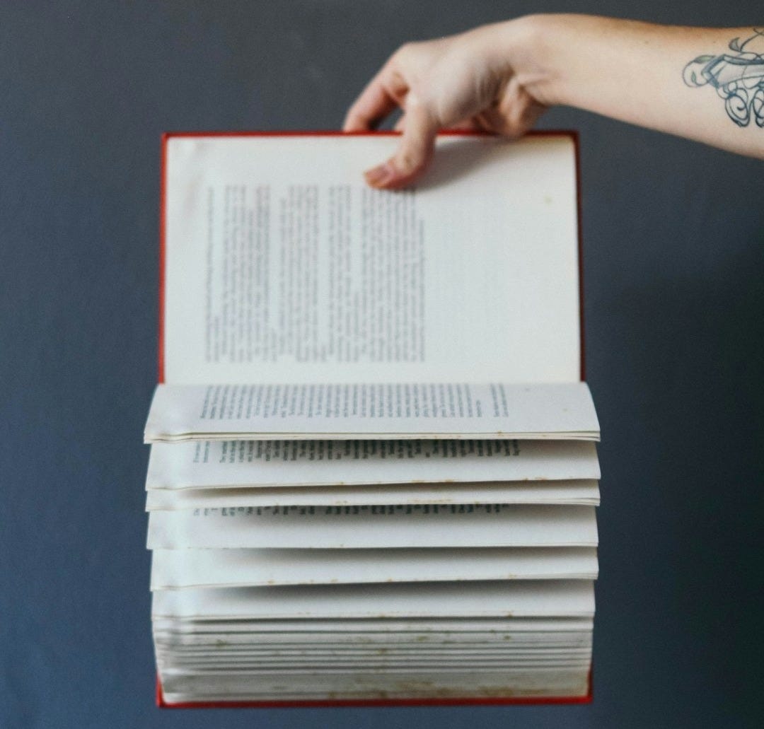 person holding red book person holding red book