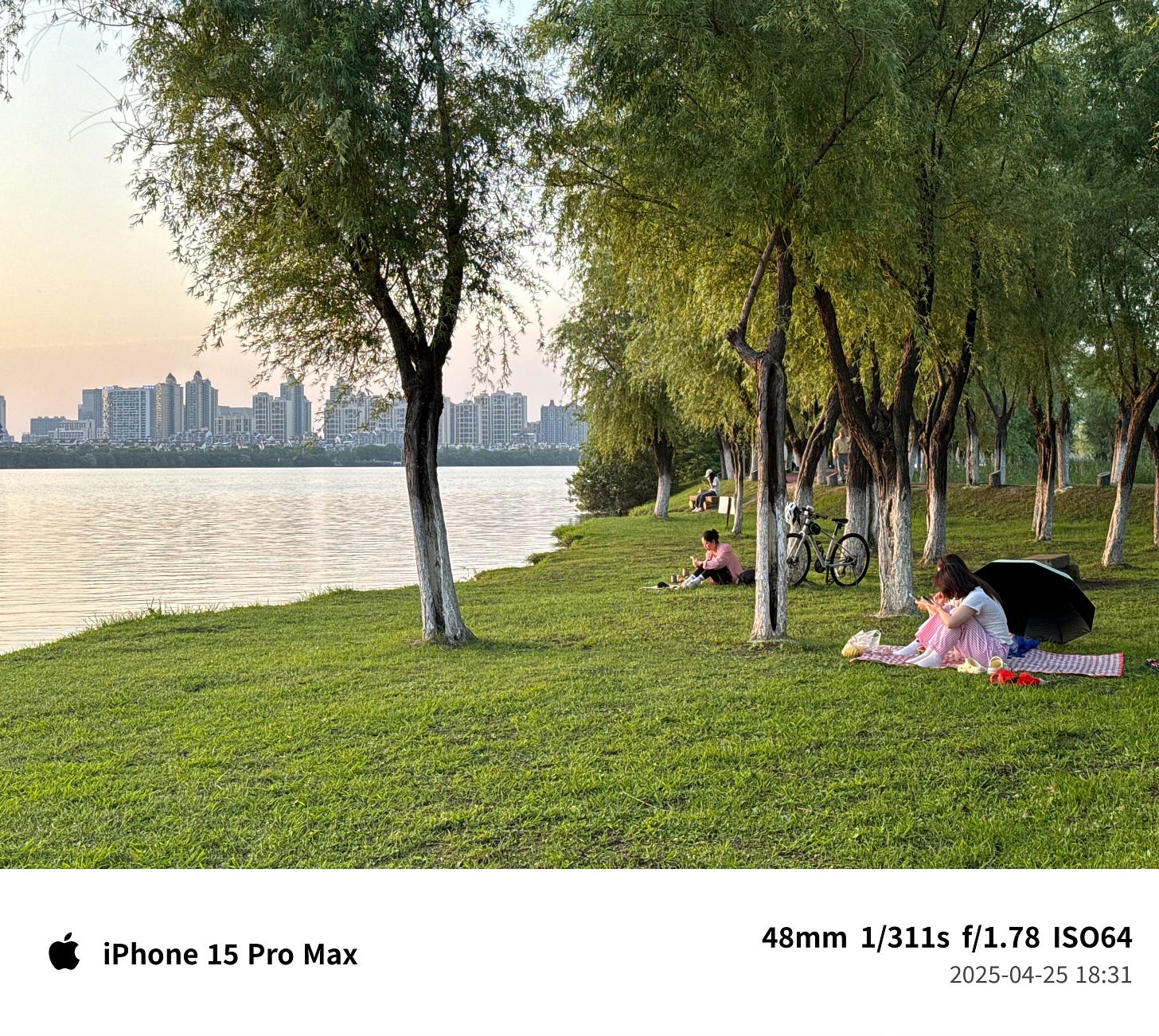 未曾踏足的小径 - 第1张图片