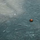 "The Most Spectacular Show on ICE"