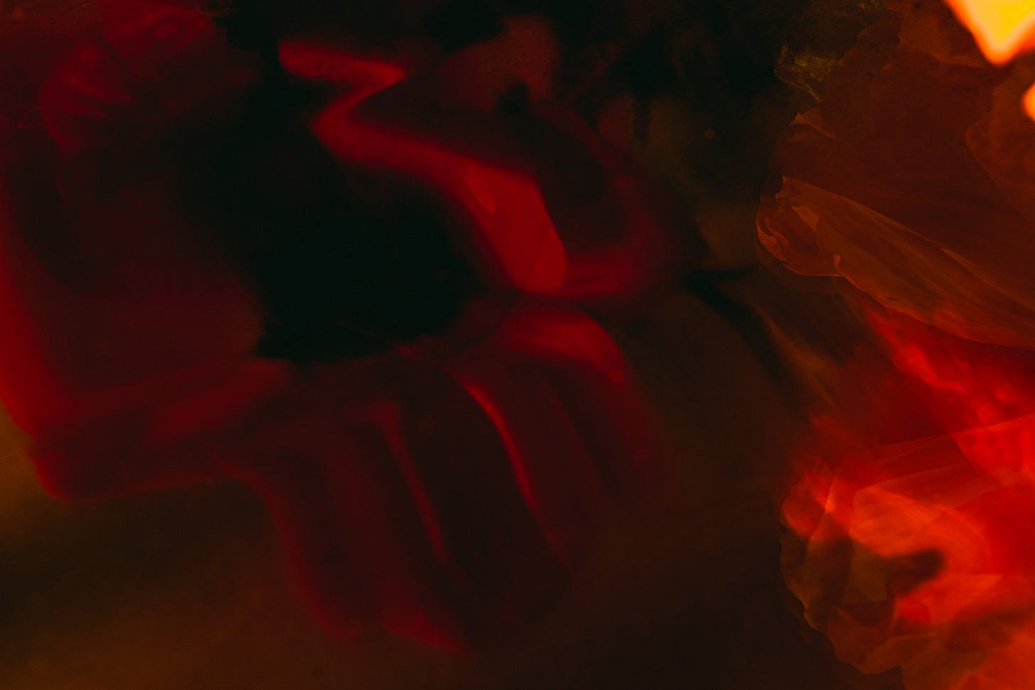 Abstract swirls of red, orange, and black with translucent petal-like forms, evoking smoke or flowing ink lit by warm light.