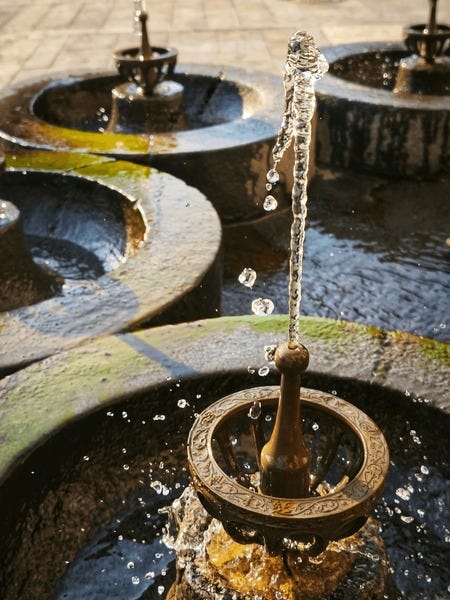 Armenian pulpulak : résultats (33) d'images libres de droits, de photos de  stock et d'illustrations | Shutterstock