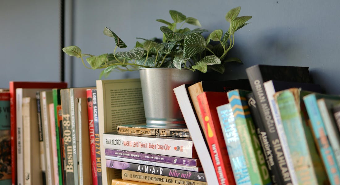A bookshelf with colourful books in a row and piled up, with a plant in a silver pot on top A bookshelf with colourful books in a row and piled up, with a plant in a silver pot on top
