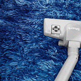 19 Things I Found In My Shag Rug