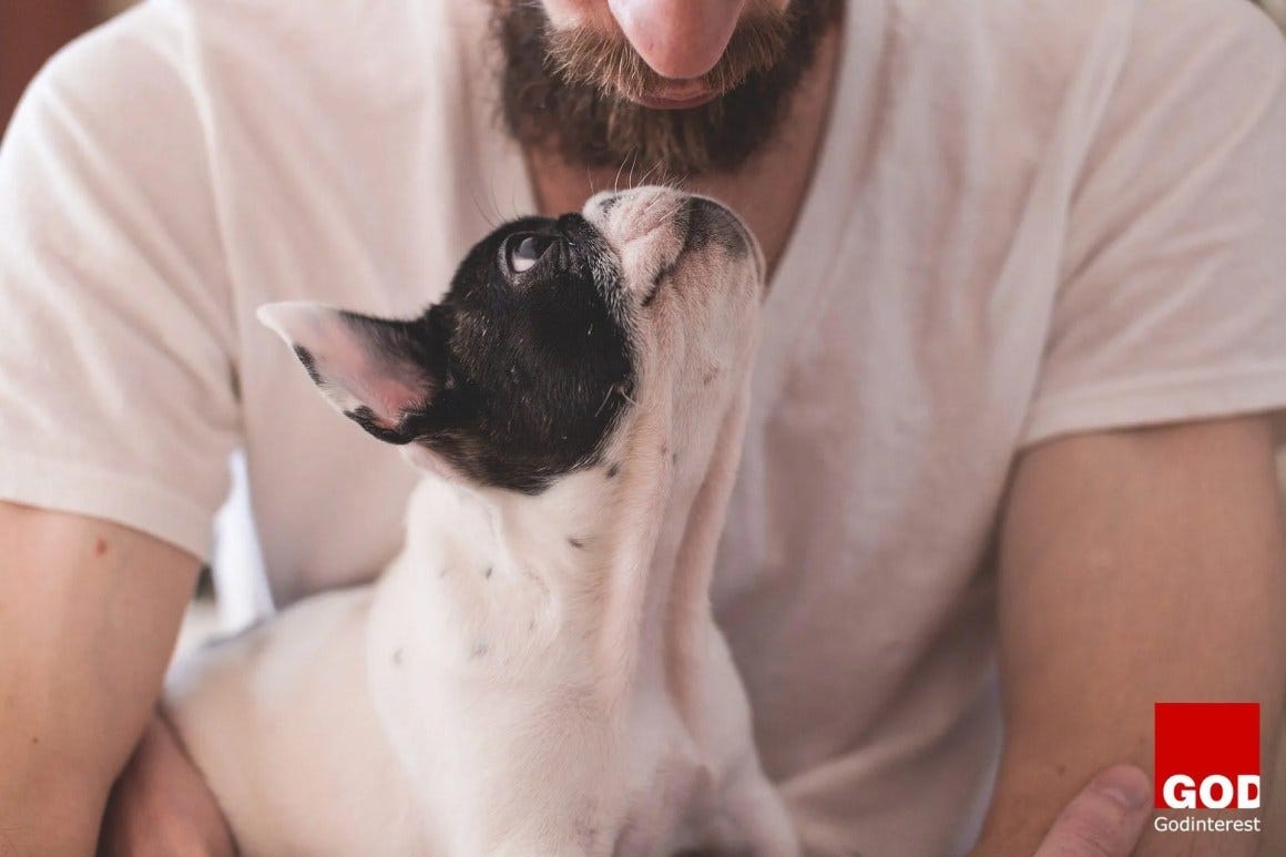 My Dog Brought Me Closer to God
