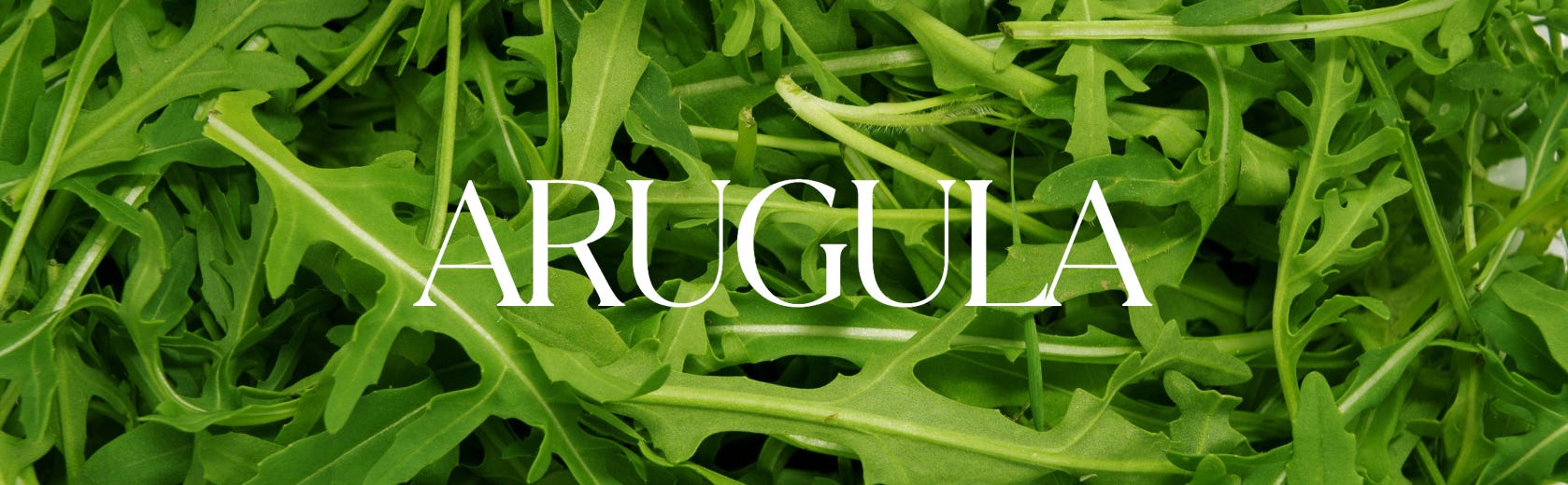 arugula glutathione Source Naturals Reduced Complex Orange, 50 mg - 100 Lozenges and made without artificial colors or preservatives. The most important antioxidant: Glutathione