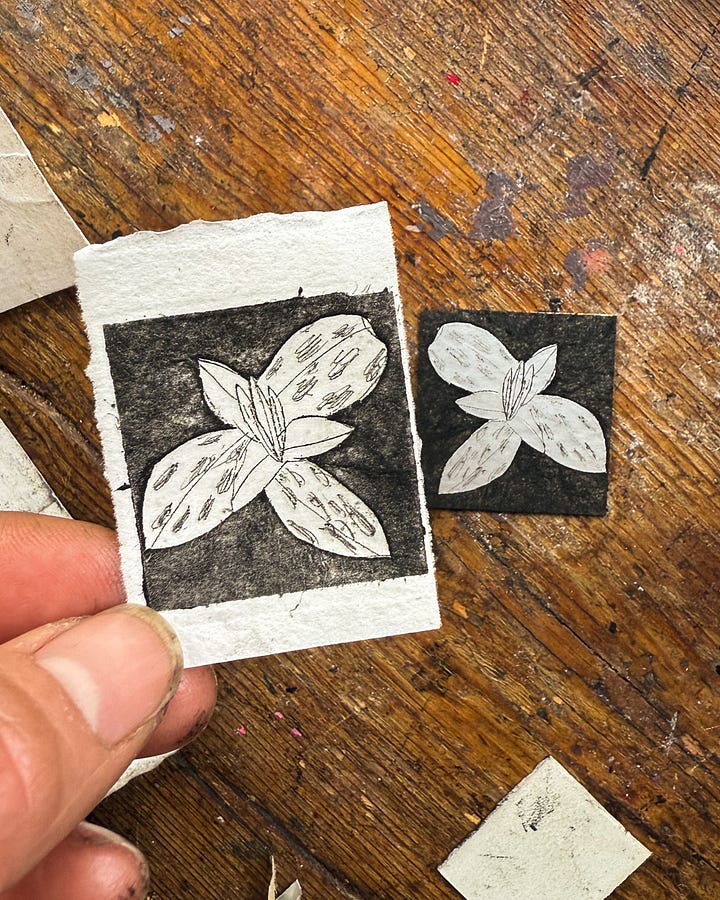 black and white hellabore, daffodil, bluebells, trillium