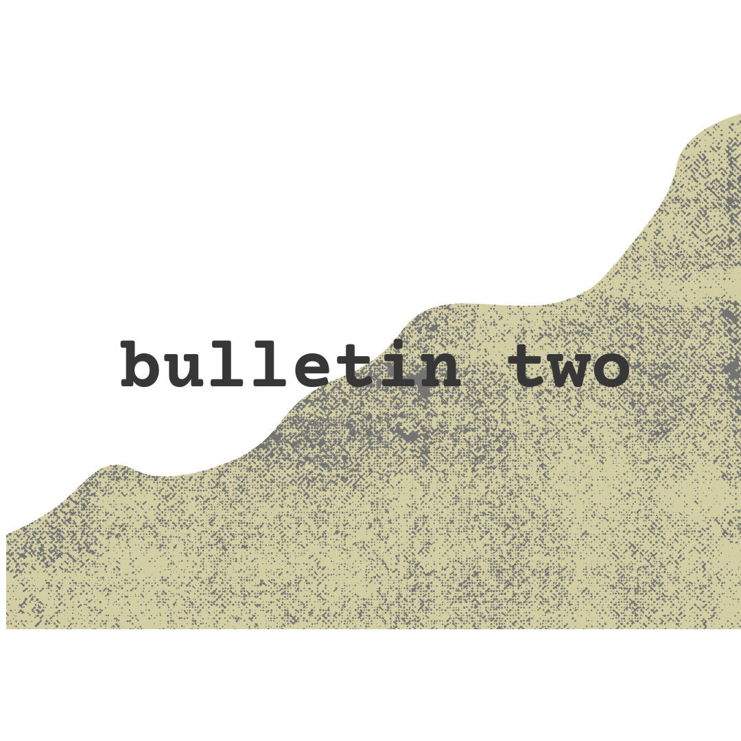 Bulletin Two