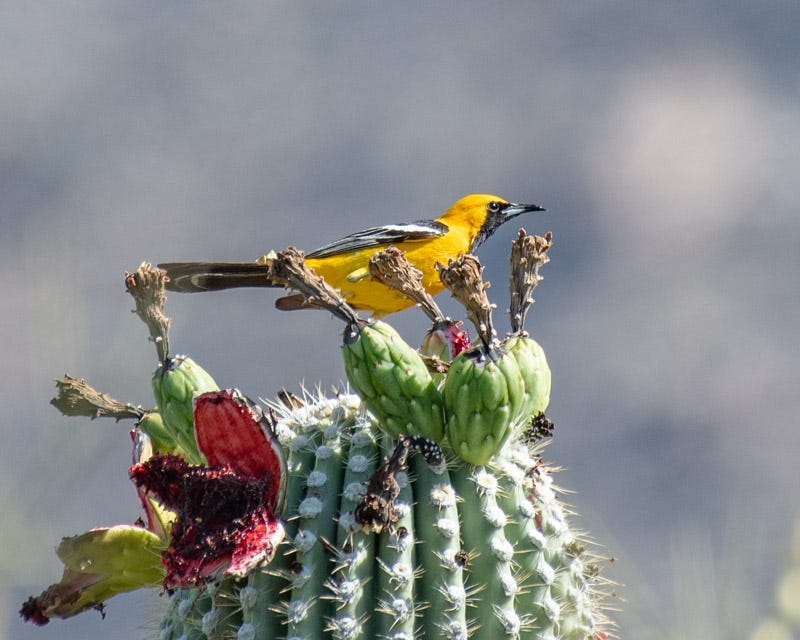 20200616_MBY-118.jpg 20200616_MBY-118.jpg