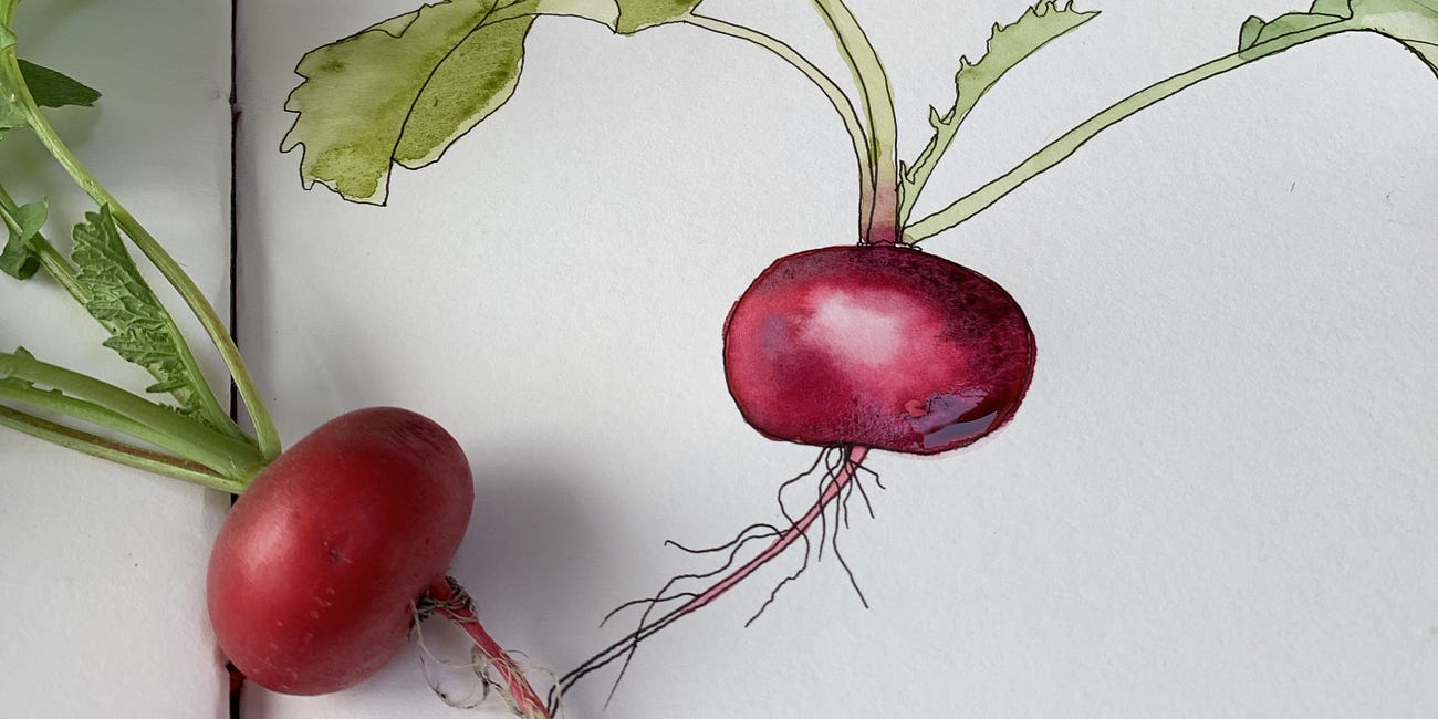 Painting the garden veg before dinner