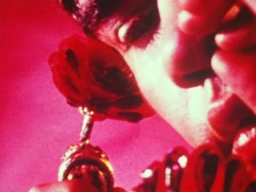Pink Narcissus (1971) | Wonders in the Dark