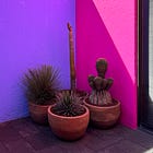 🇲🇽 A CDMX guide!