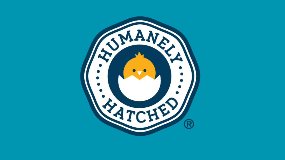 You Can Now Buy Eggs From In-Ovo Sexed Hens!
