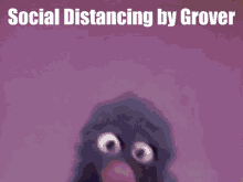 a picture of a bird with the words social distancing by grover written below it