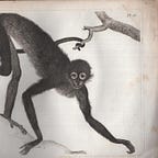 Boletín Catacrocker 