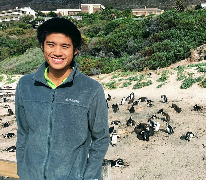 Penguins at Boulder’s Beach