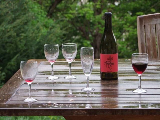 1descente_aux_amphores_nicolas_reau