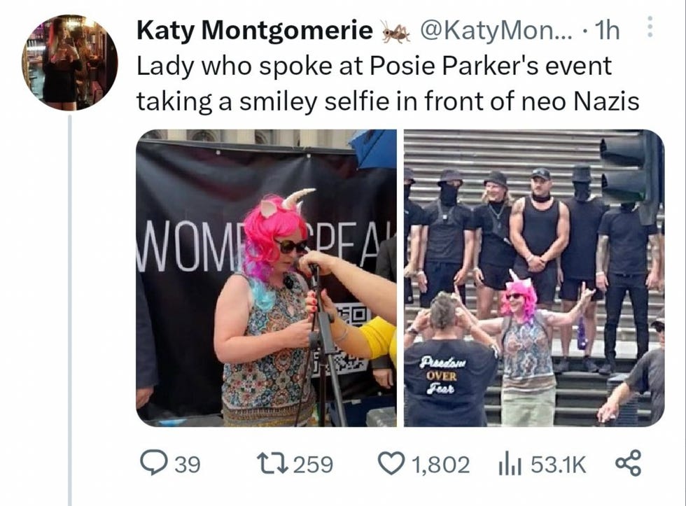 Pic one: Lady with pink hair and unicorn horn getting ready to speak. Pic 2 same lady standing in front of neo-nazis giving metal horns. Pic one: Lady with pink hair and unicorn horn getting ready to speak. Pic 2 same lady standing in front of neo-nazis giving metal horns.
