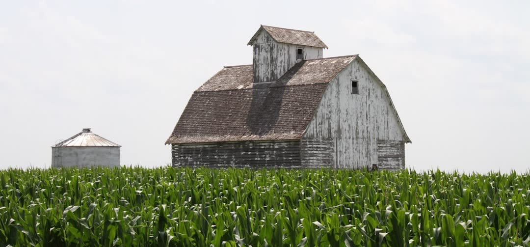 brown barn house brown barn house