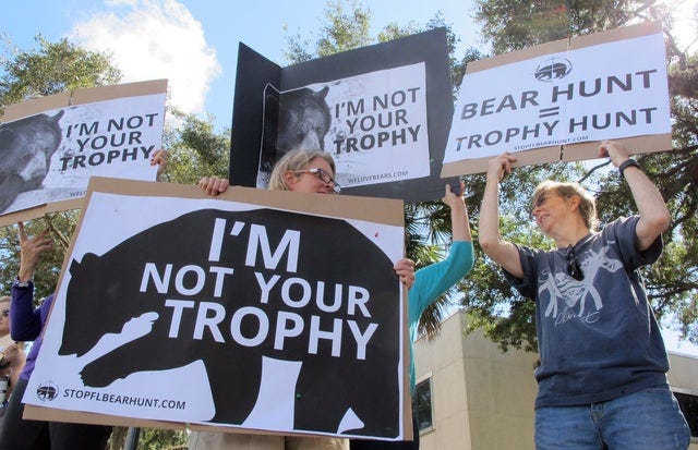 Florida's controversial black bear hunt ends after second day - CBS News
